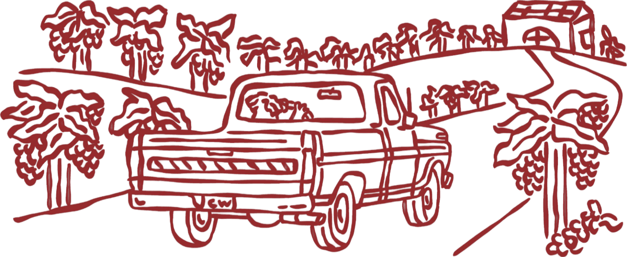 Illustration of a truck heading to the winery