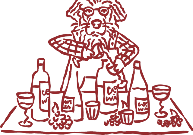 Wine varieties illustration